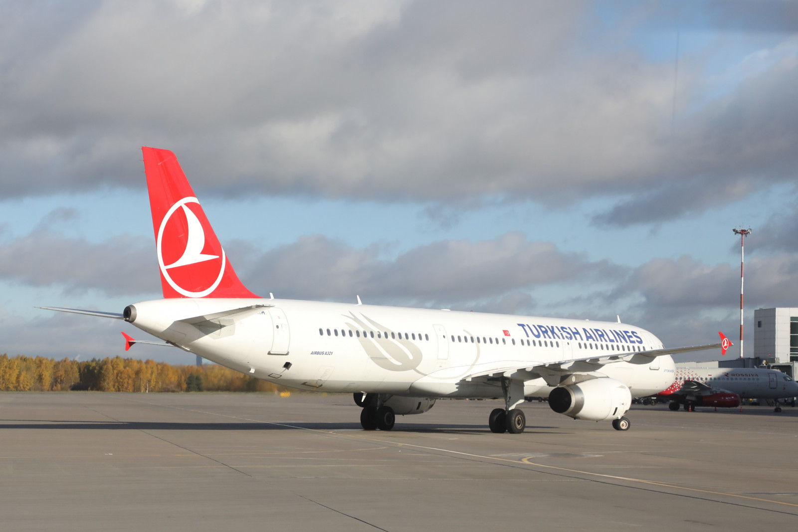 В МИД РФ озвучили причину недопуска россиян на рейсы авиакомпании Turkish  Airlines | Вечёрка