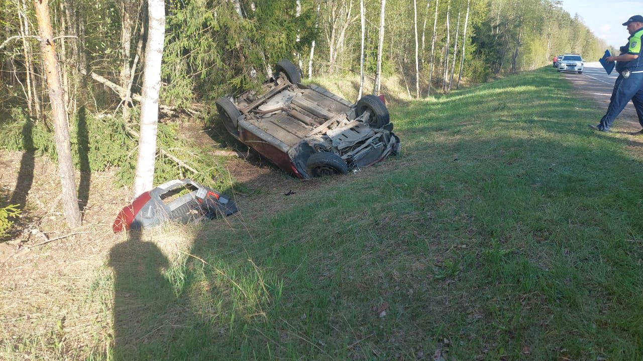 Водитель не справился с управлением на трассе в Ломоносовском районе — его  75-летняя жена погибла | Вечёрка