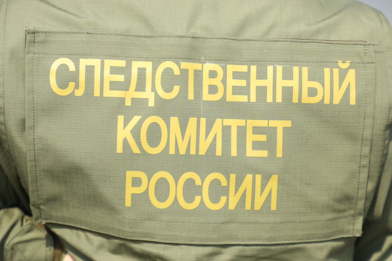 В Петербурге заключили под стражу подозреваемого в сексуальных  домогательствах к детям | Вечёрка