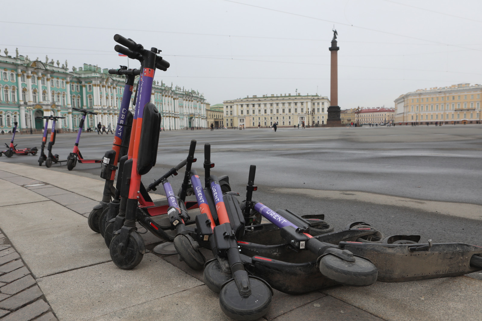 В «Юрент» предупредили о блокировке самокатов в запрещенных на ПМЭФ районах  | Вечёрка