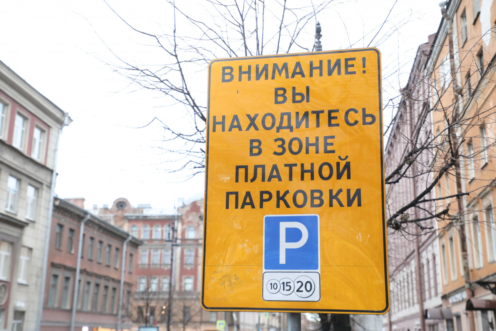 В Петербурге создан чат-бот для поиска эвакуированных автомобилей | Вечёрка