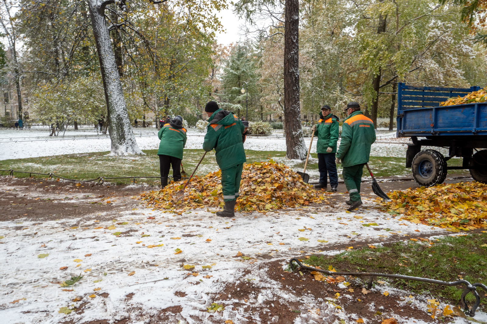 Онлайн-голосование. Петербуржцы оценят качество уборки в своем районе |  Вечёрка