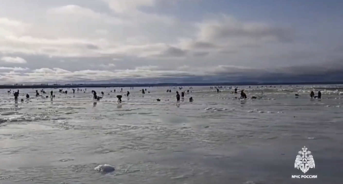Фото и видео: на поверхности Финского залива возникло необычное природное явление