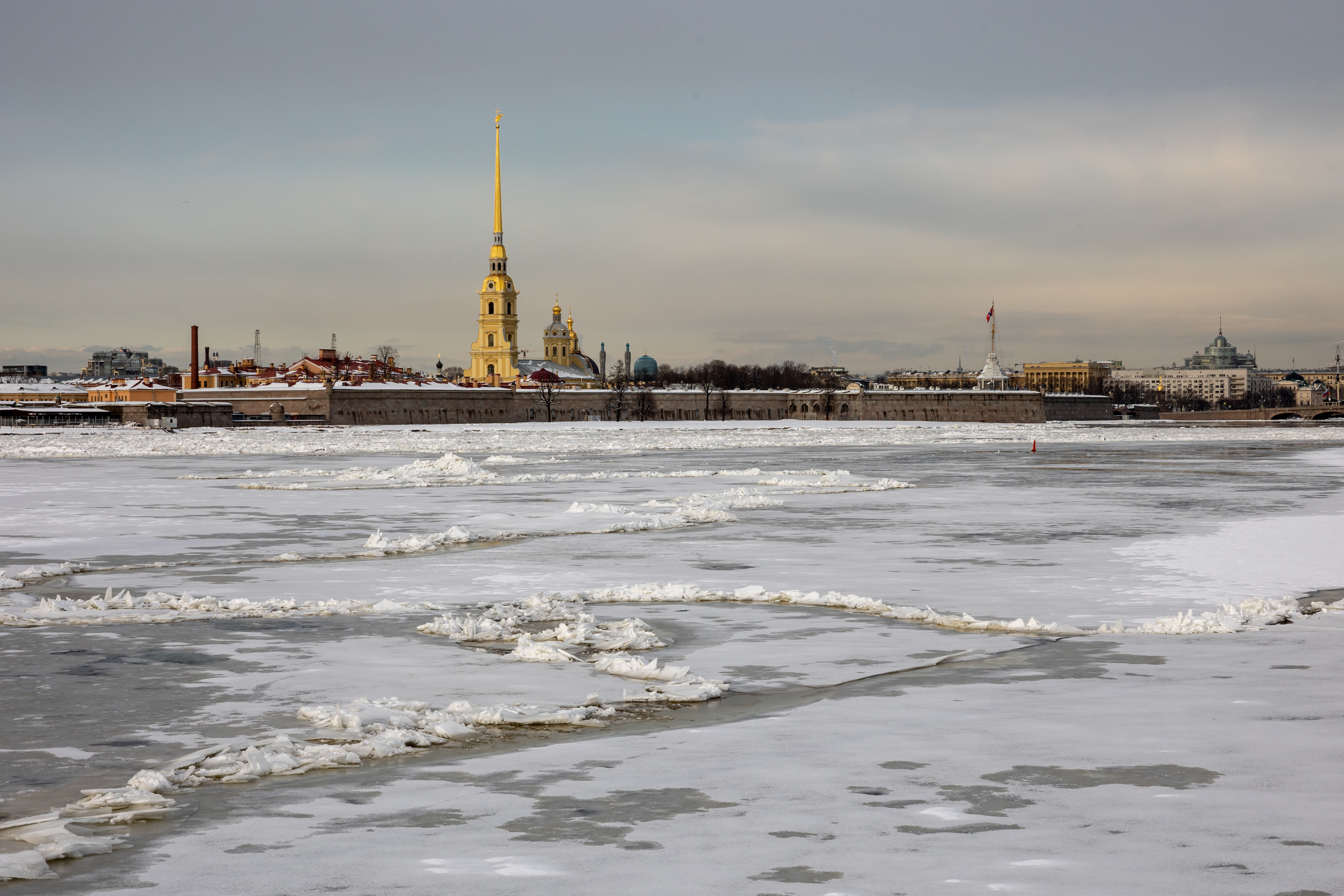 Налоговая поддержка бизнесу в 2024-2025 годах составит в Петербурге почти 18  миллиардов рублей | Вечёрка