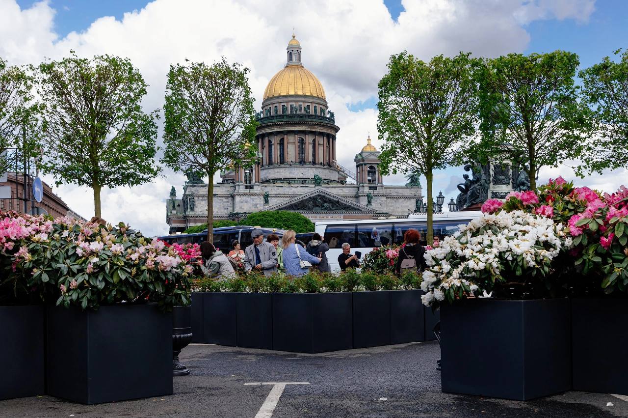 Популярным местом отдыха в Петербурге стало зеленое пространство напротив  Исаакиевского собора | Вечёрка