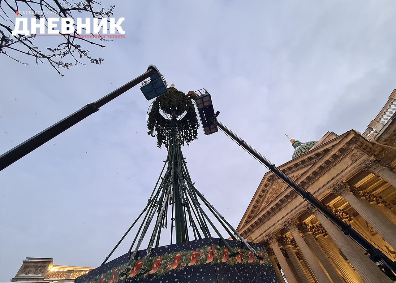 В Петербурге у Казанского собора начали устанавливать новогоднюю елку |  Вечёрка