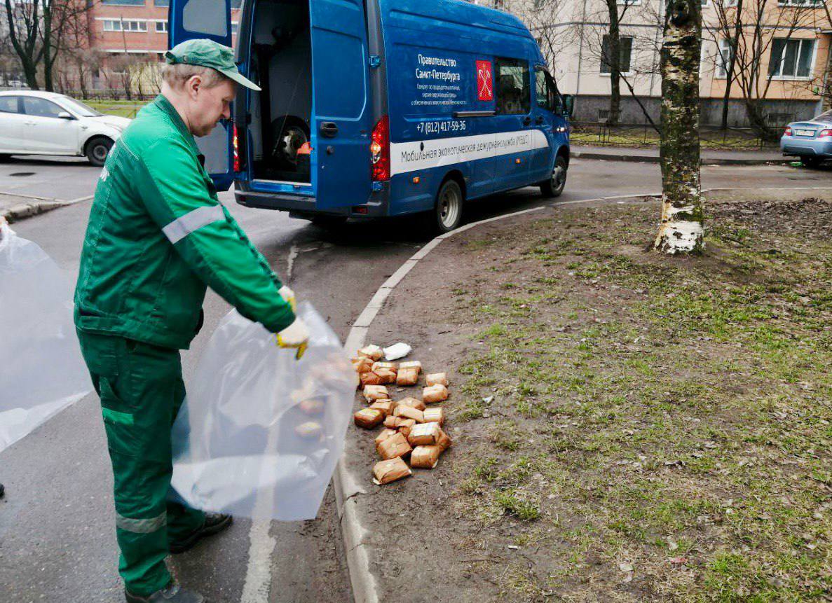 Экологические службы Петербурга собрали за неделю более 14 тонн опасных  отходов | Вечёрка