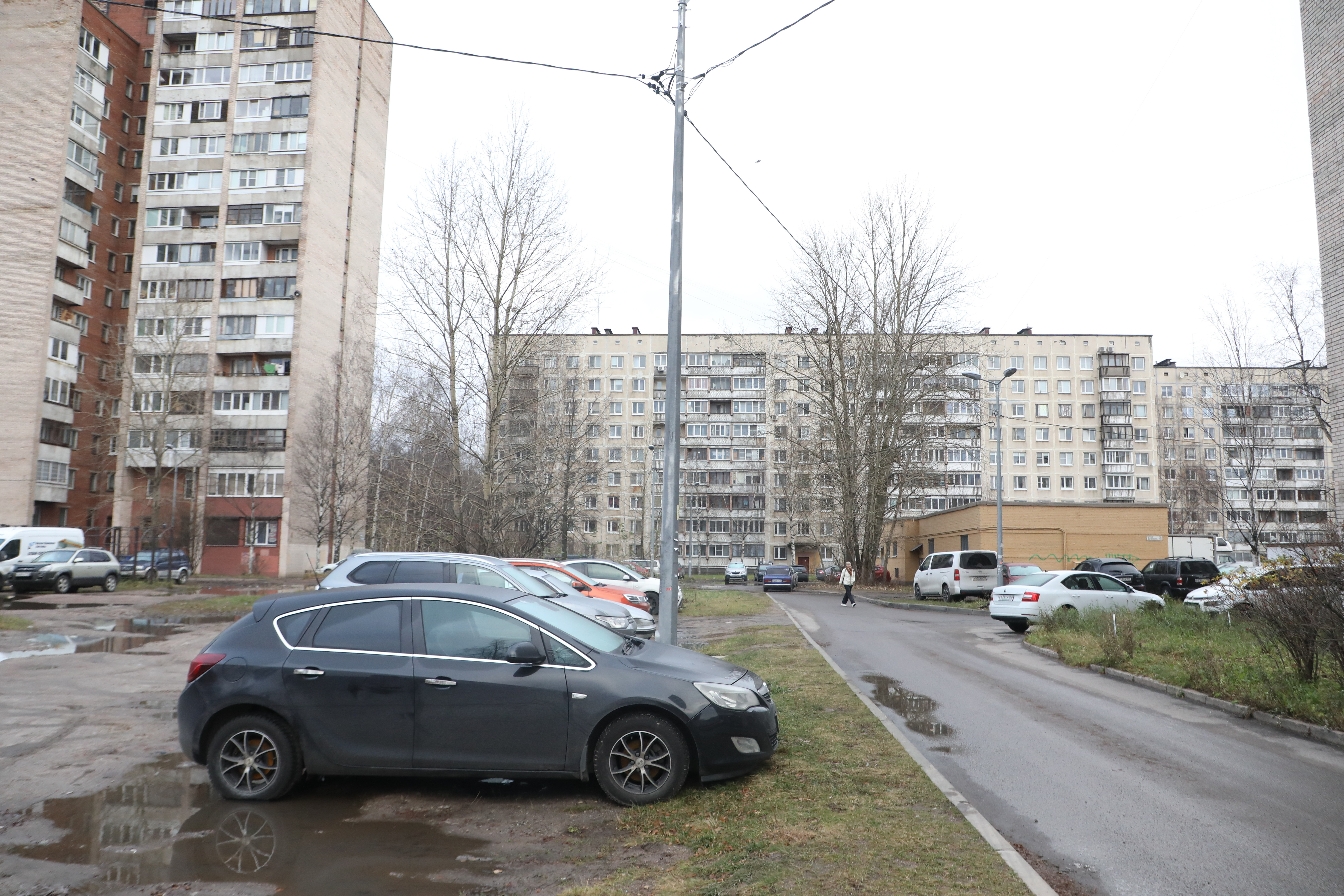 В Петербурге злоумышленники чаще угоняют корейские и немецкие автомобили |  Вечёрка