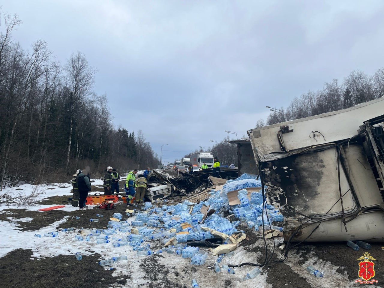 Водитель BMW погиб после столкновения с большегрузом на трассе в Гатчинском  районе | Вечёрка