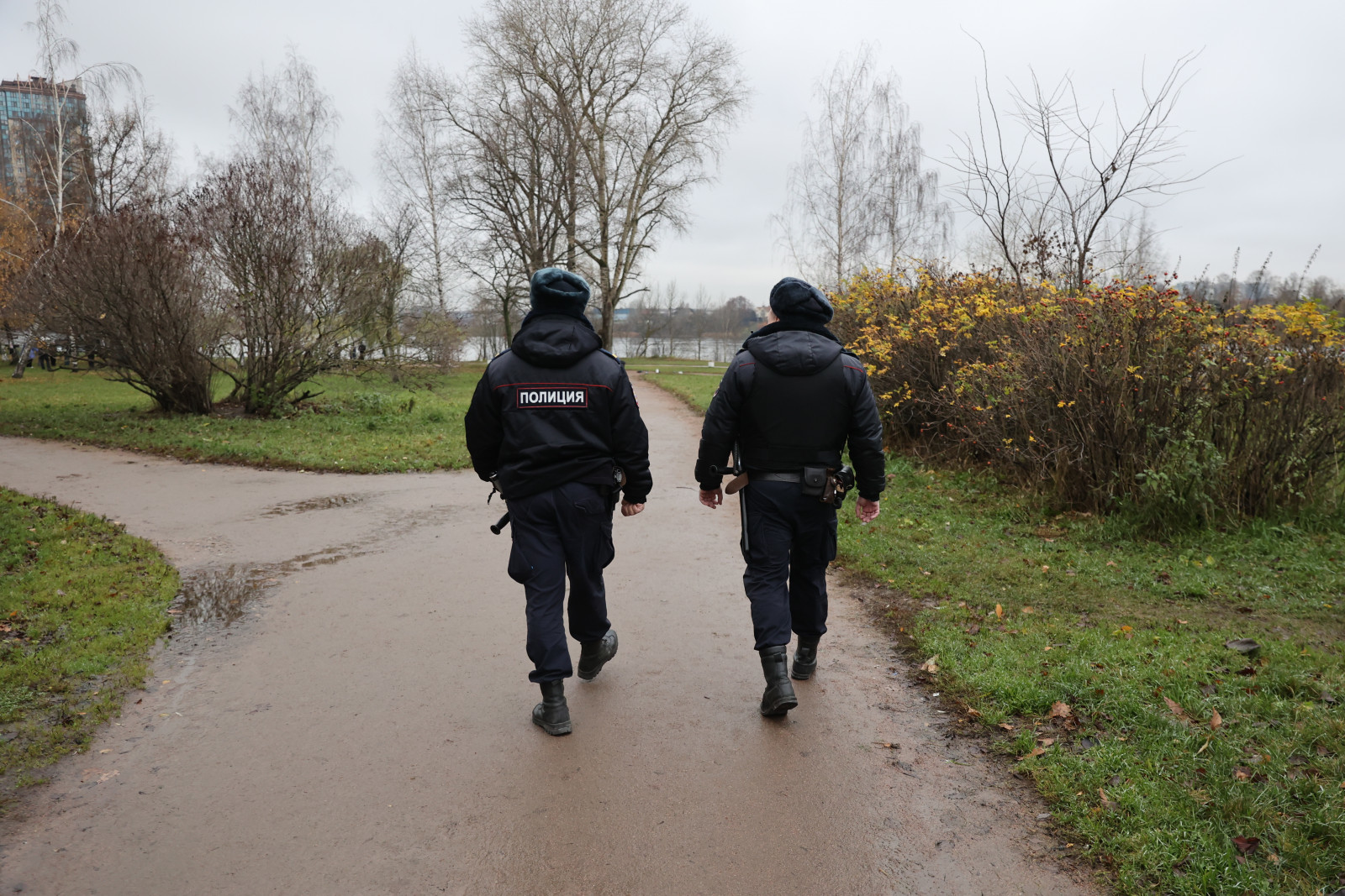 Драка подростков в парке Сосновка закончилась задержанием полицией | Вечёрка