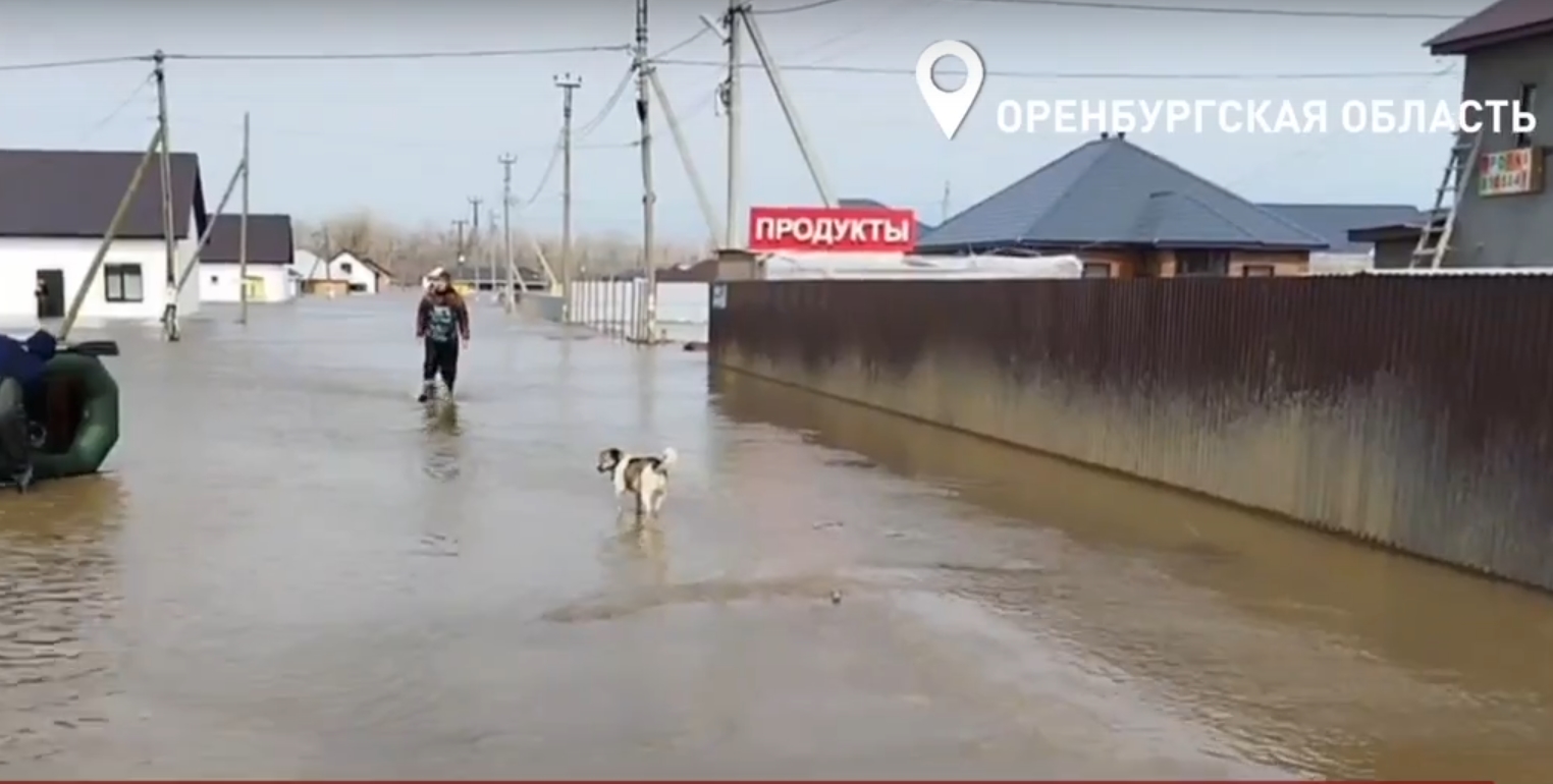 Народный фронт» объявил сбор гуманитарной помощи в поддержку жителей  Оренбурга | Вечёрка