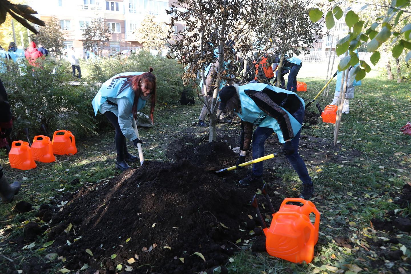 Порядка 900 петербуржцев приняли участие в традиционной кампании по  озеленению города