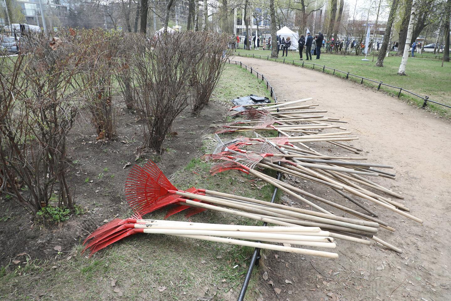 В Петербурге продлят агротехнический период до середины ноября | Вечёрка