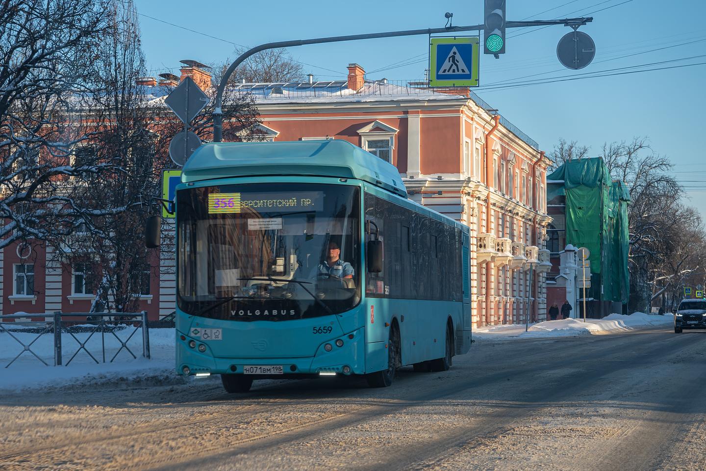 Трассы трех автобусов изменят в Петербурге с 23 февраля из-за реконструкции  Цитадельского шоссе