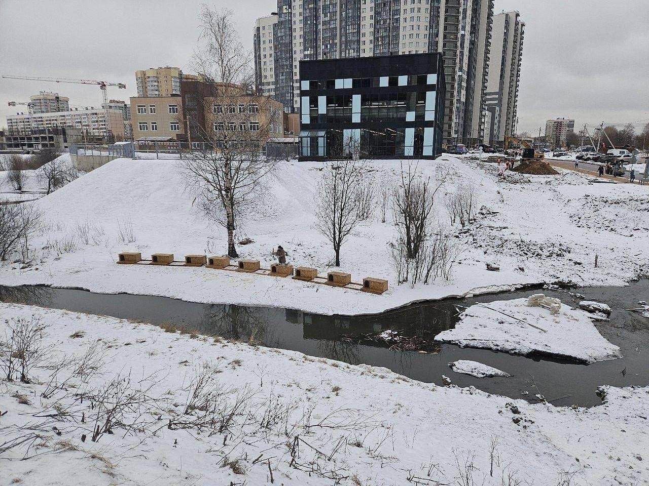 Ипотеку платить не нужно: домики для уток восхитили жителей Невского района