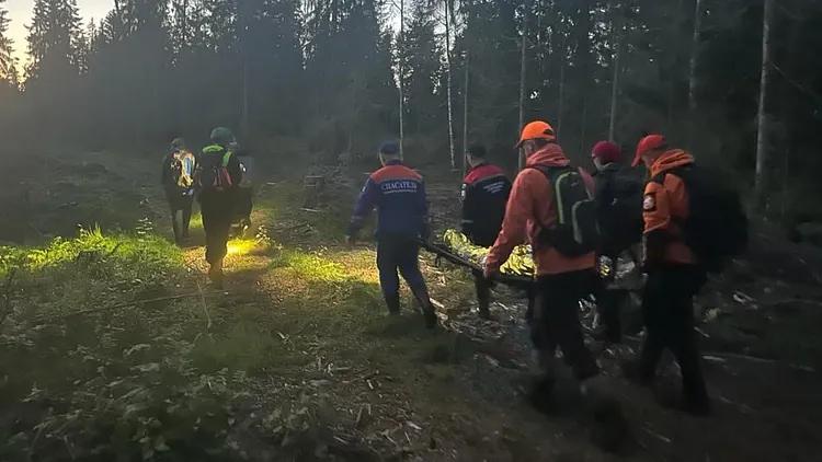 Правоохранители задержали рецидивиста, напавшего на девушку в лесу в Толочинском районе