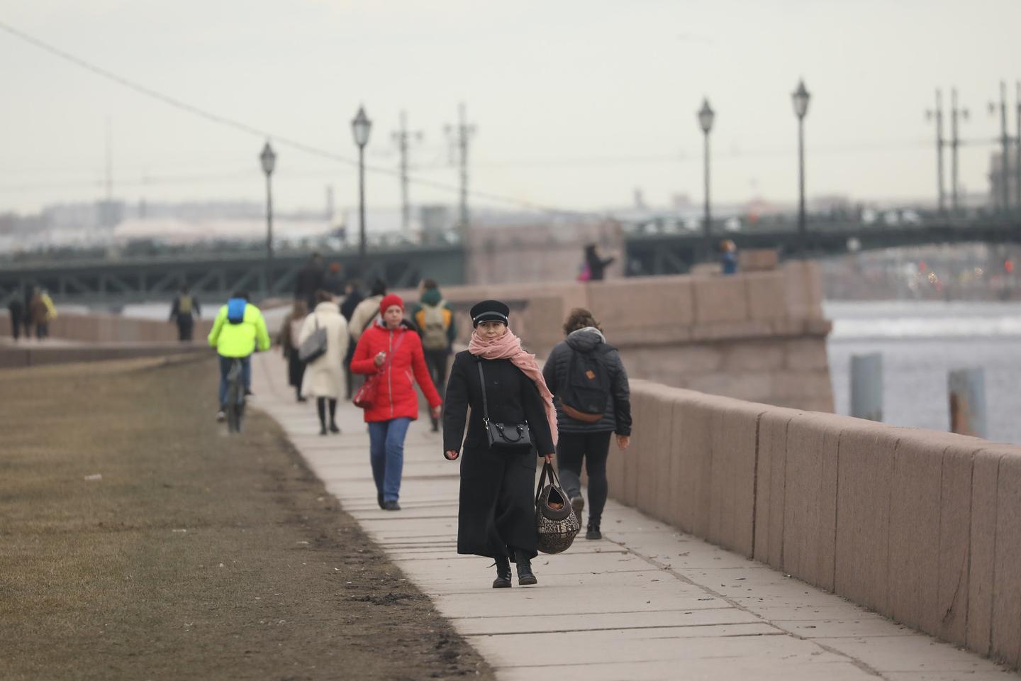 Петербург оказался в тройке лидеров рейтинга регионов с наименьшим уровнем  безработицы | Вечёрка