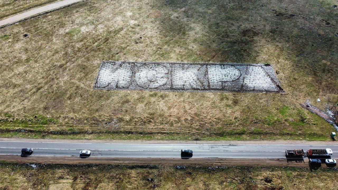 Выгоревшую рощу-геоглиф «Искра» планируют восстановить уже в этом сезоне |  Вечёрка